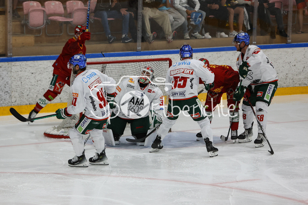 SC Langnau Tigers - Augsburger Panther | Der Puck liegt im Tor der Panther / Der Treffer zum 1-0 fuer Langnau