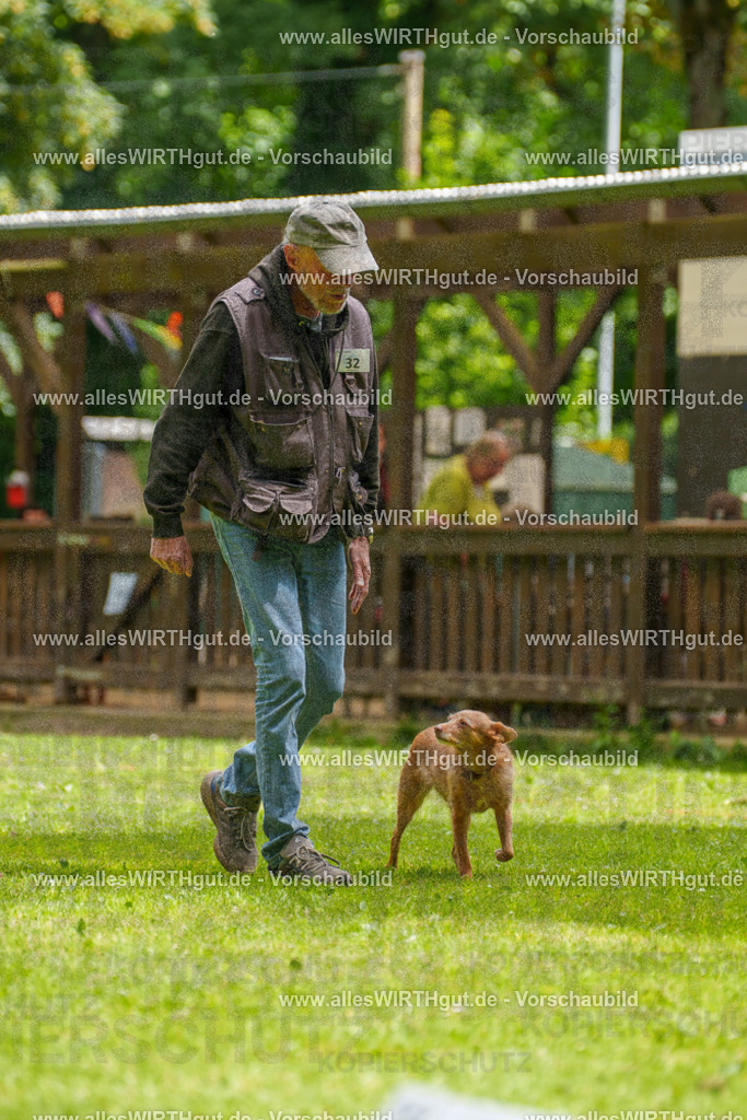 @allesWIRTHgut_Tierfotografie - www.allesWIRTHgut.de - 121719-7R508801 | Professionelle Tierfotografie in Mönchengladbach von Daniel Wirth (allesWIRTHgut). Liebevolle & natürliche Bilder von Hunden & Katzen für unvergessliche Erinnerungen.