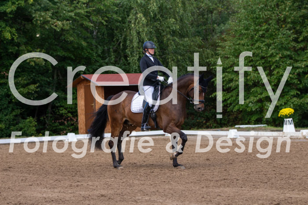 IMG_3840 | Creatify Fotografie