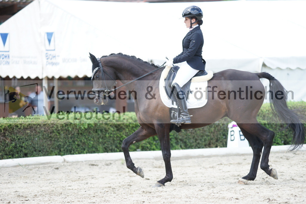 DSC05361 | equestrian-live-com