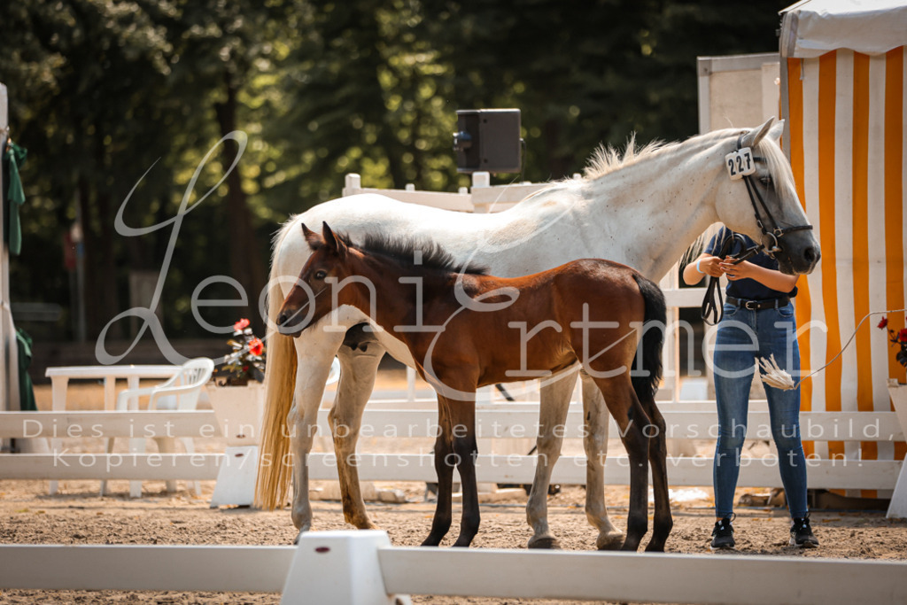 03.DoAB00036 | Leoni Ertmer Photography - Realisiert mit Pictrs.com