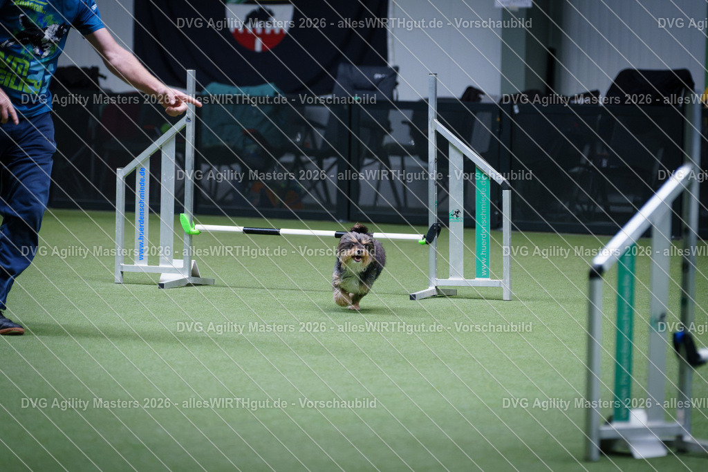 allesWIRTHgut_Tierfotografie-DVG_Agility_Masters_2026-12_17-7R502143 | Professionelle Tierfotografie in Mönchengladbach von Daniel Wirth (allesWIRTHgut). Liebevolle & natürliche Bilder von Hunden & Katzen für unvergessliche Erinnerungen.