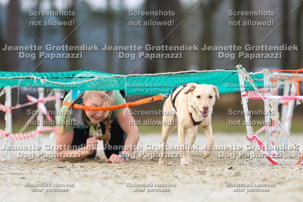 Dog Paparazzi - Strongdog North Mrz26-3771 | Dog Paparazzi Jeanette Grottendiek Fotografie & Videografie - Realisiert mit Pictrs.com
