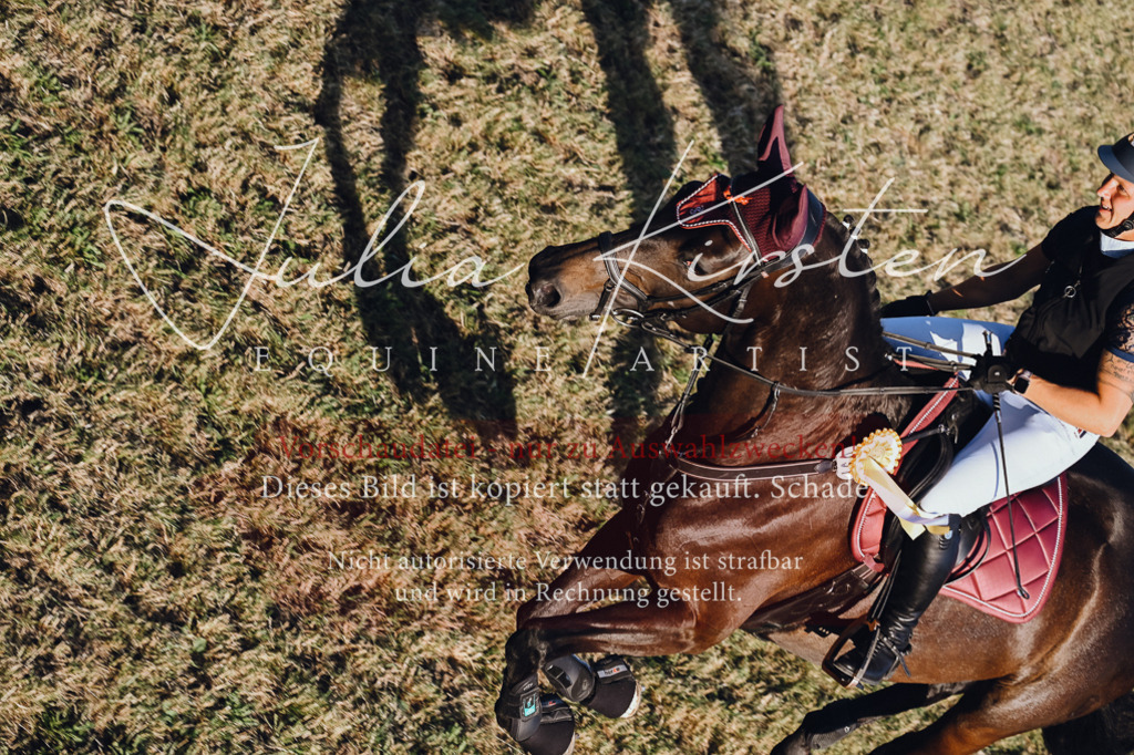 DSC_3310 | Pferde- und Turnierfotografie in Westsachsen. Pferdeportraits, Auftragszeichnungen und intuitive Kunst.