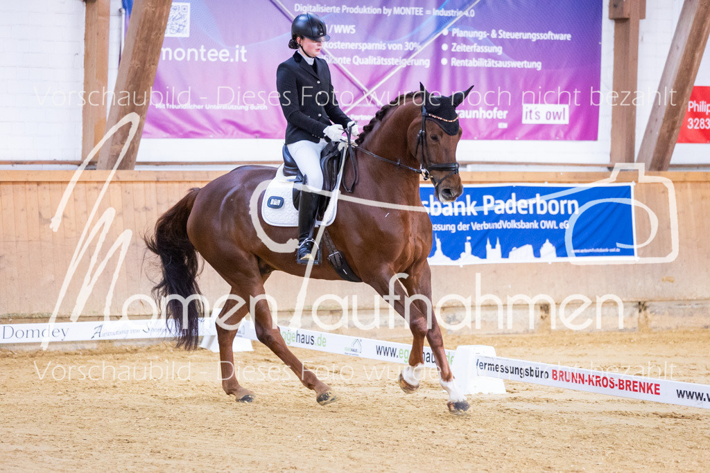 Sth-A-Dre-1St-058 | MomenTaufnahmen Pferdesportfotos