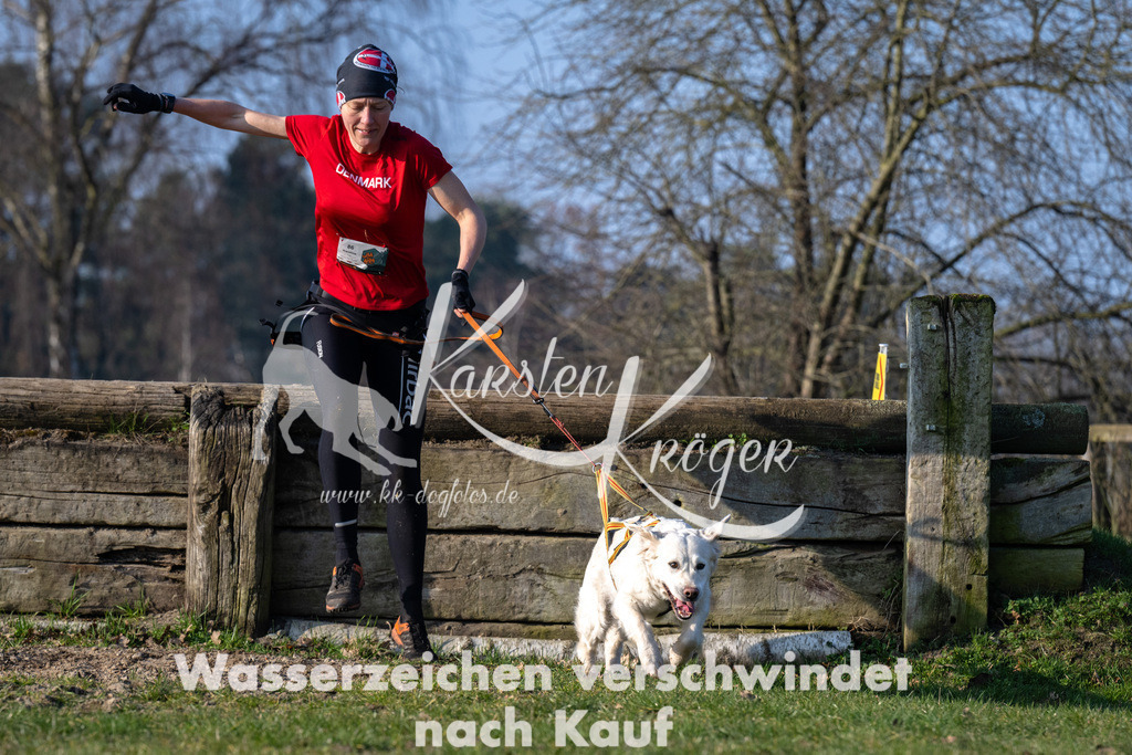 _ZZ93381 | kk-dogfotos