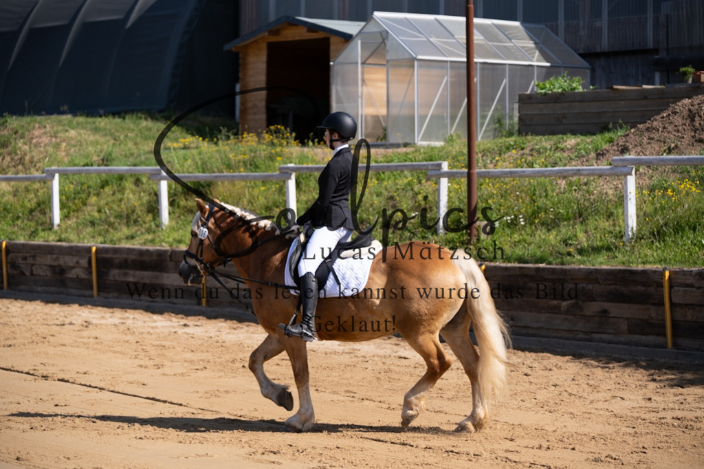 A7V07758 | Turnier/Reitfotograf