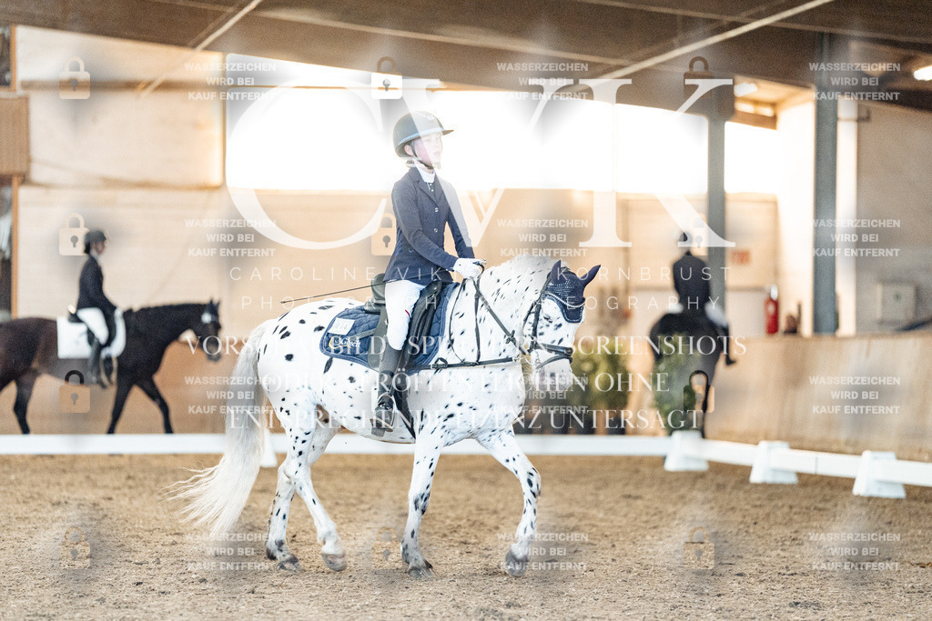 CK906827 | Turnierfotografie Pferdefotografie Trier Rheinland-Pfalz Pferdesport Reitsport Tierfotografie Sportfotografie Pferdevideo Pferdevideografie Equestrianvideography equestrianphotography  - Realized with Pictrs.com