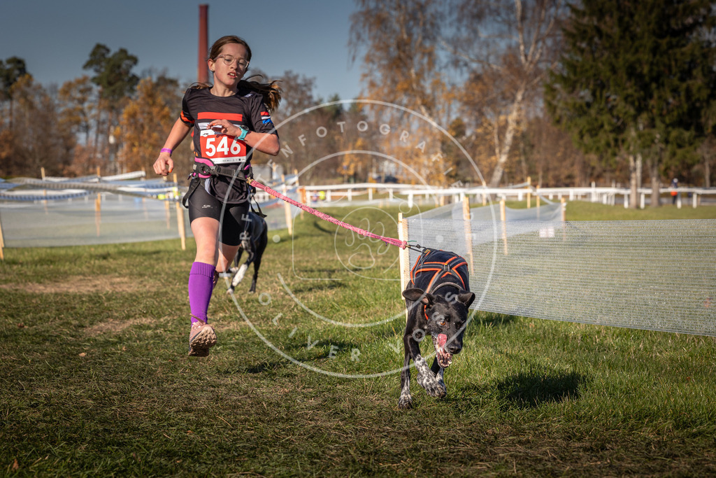 CaniXpix_0L8A7621 | Hundefotografie, Tierfotograf, Pfotenfotografie, Fotoshooting Hund, Hunde Portrait, Hundesport, Hundeportraits, Heideshooting, Hunde, Sportfotograf, Hundefotograf, Turnierhundsport, THS,  - Realisiert mit Pictrs.com