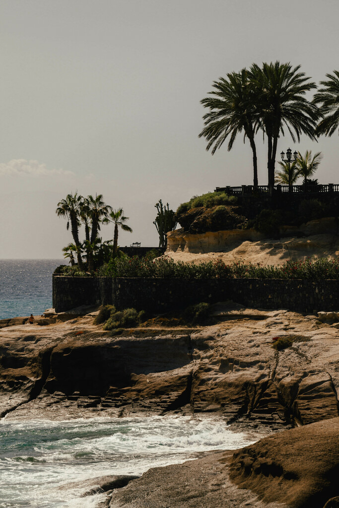 Teneriffa_by Leevke Draack_25 | Du suchst natürliche und atmosphärische Prints oder Leinwanddrucke? In diesem Shop gibt es alles, nur kein Mainstream. - Realisiert mit Pictrs.com