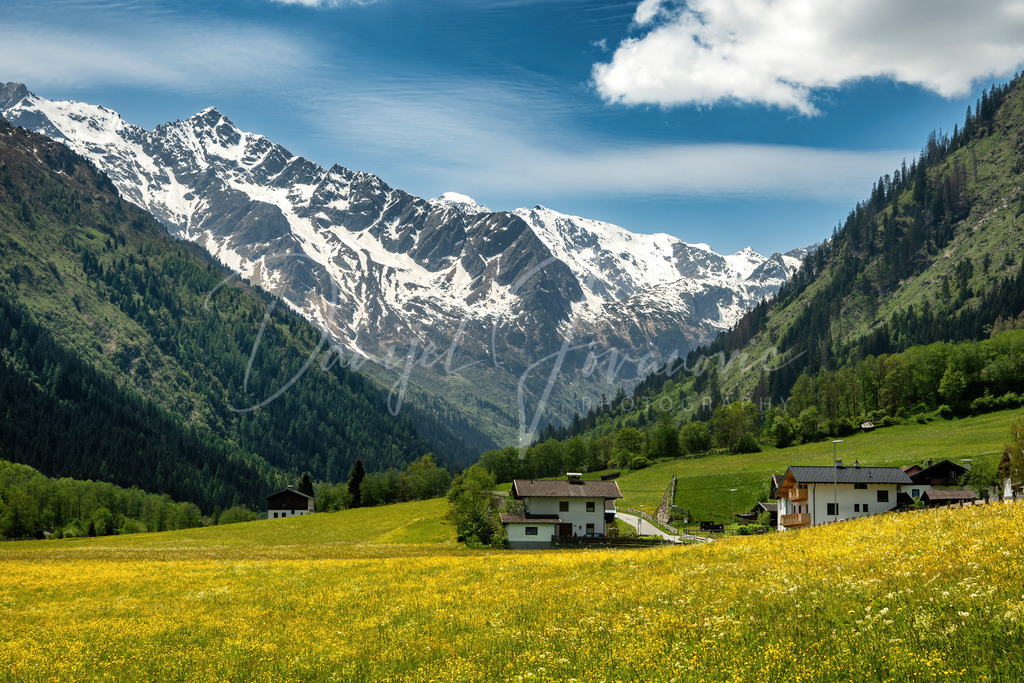 Gschnitztal | Sommer im Gschnitztal