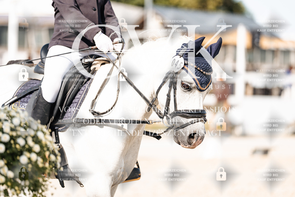 CK905673 | Turnierfotografie Pferdefotografie Trier Rheinland-Pfalz Pferdesport Reitsport Tierfotografie Sportfotografie Pferdevideo Pferdevideografie Equestrianvideography equestrianphotography  - Realisiert mit Pictrs.com