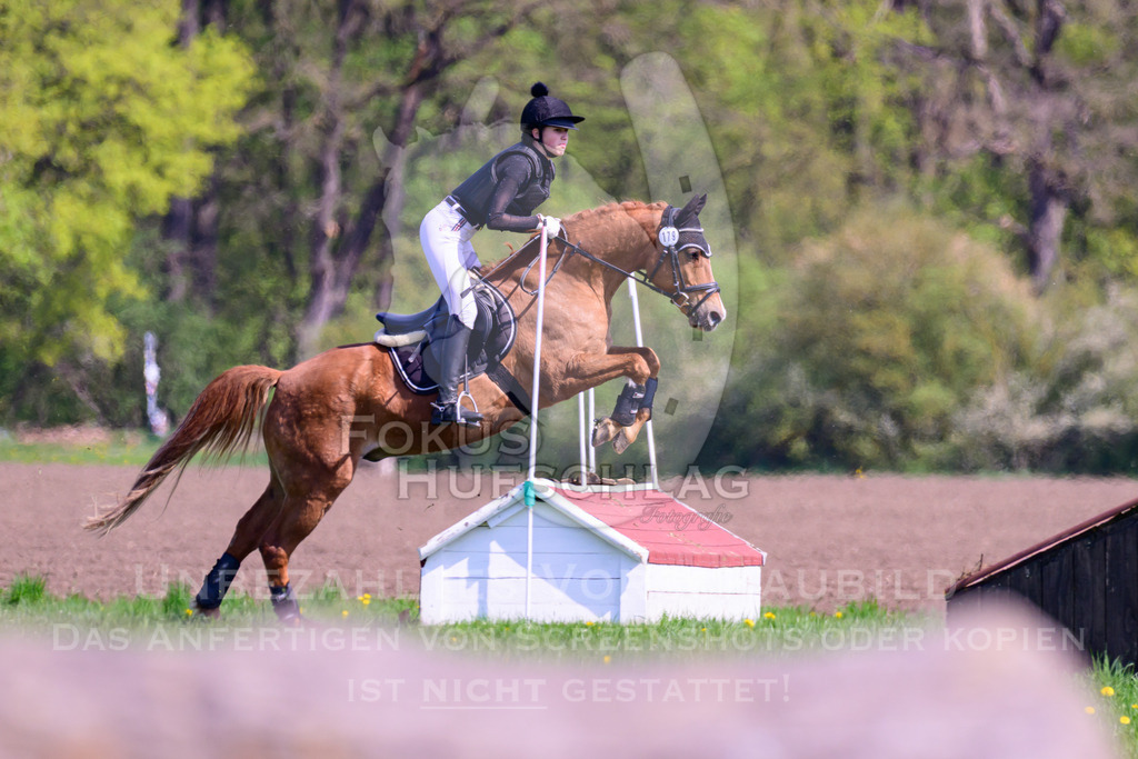 18042026-Gernlinden-01-1-0139 | Fokus Hufschlag Fotografie - Realisiert mit Pictrs.com