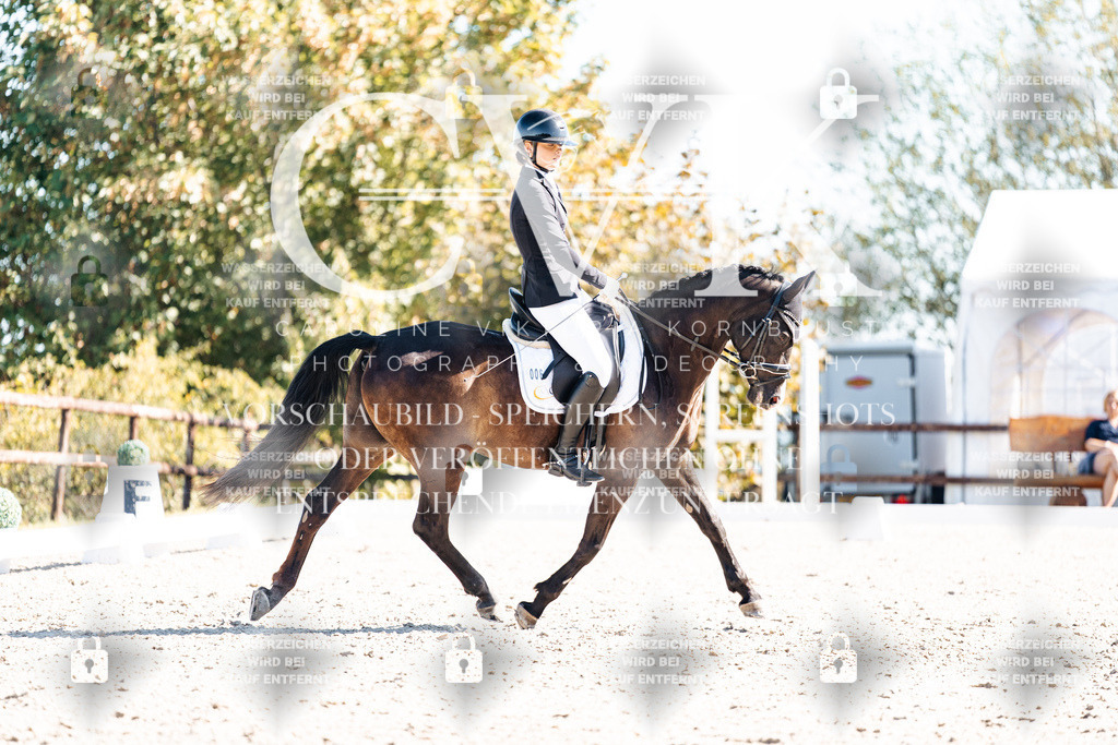 CK909034 | Turnierfotografie Pferdefotografie Trier Rheinland-Pfalz Pferdesport Reitsport Tierfotografie Sportfotografie Pferdevideo Pferdevideografie Equestrianvideography equestrianphotography  - Realisiert mit Pictrs.com