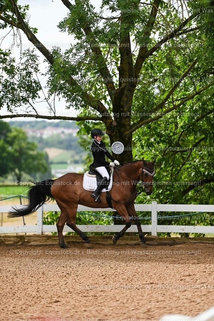 20230716_10-1_Reiter-WB Schritt - Trab - Galopp_0100 | equistock
