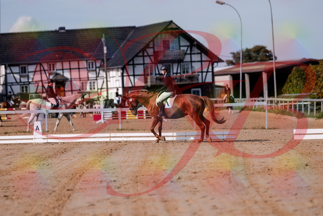 2026_10_03_Siefer-Hof_114033_Z81_82970439 | Professionelle Reitsport-, Turnier- und Eventfotografie von Robert Broda. Galerien mit ausgewählten und bearbeiteten Bildern direkt online ansehen und bestellen.