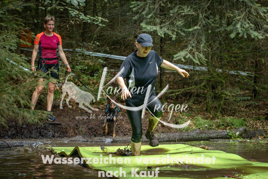 1538_ZZ91597-Bearbeitet | kk-dogfotos