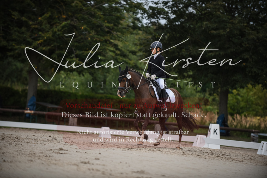 DSC_8146 | Pferde- und Turnierfotografie in Westsachsen. Pferdeportraits, Auftragszeichnungen und intuitive Kunst.