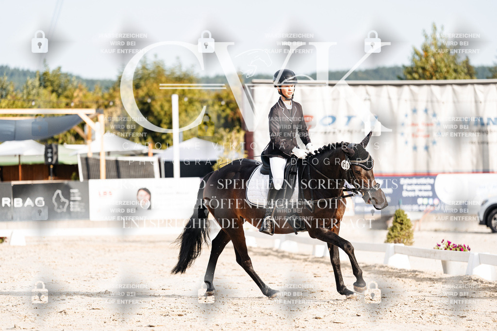 CK903809 | Turnierfotografie Pferdefotografie Trier Rheinland-Pfalz Pferdesport Reitsport Tierfotografie Sportfotografie Pferdevideo Pferdevideografie Equestrianvideography equestrianphotography  - Realisiert mit Pictrs.com