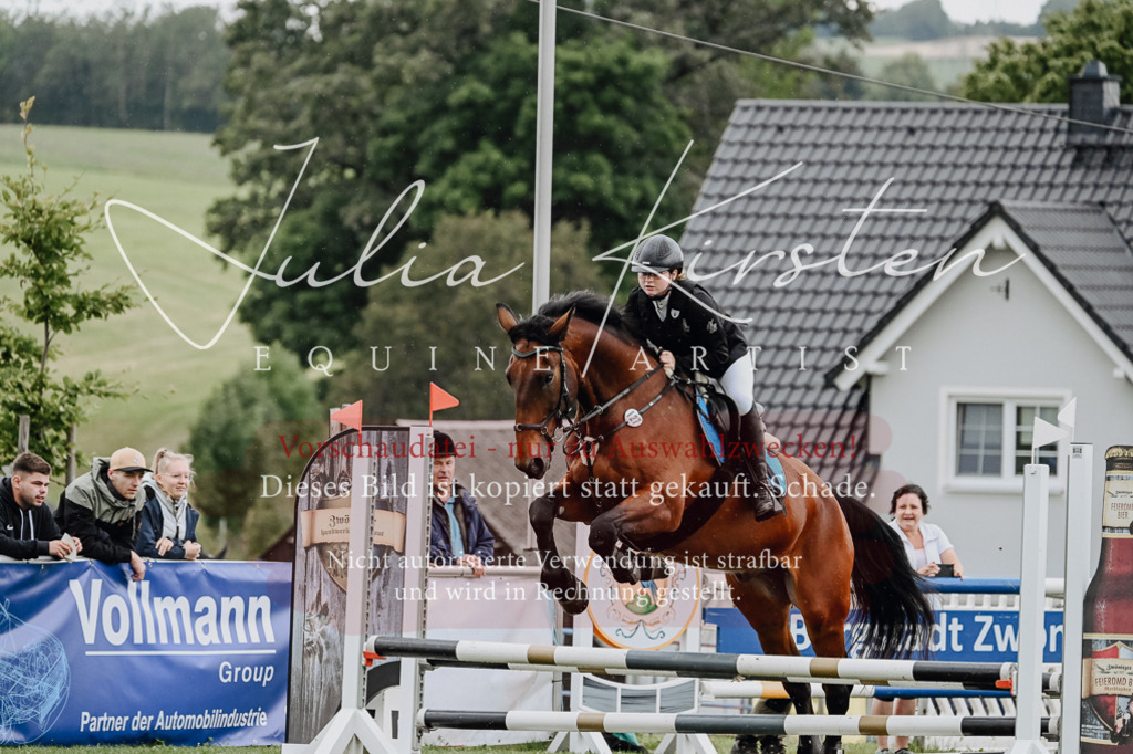 DSC_6868 | Pferde- und Turnierfotografie in Westsachsen. Pferdeportraits, Auftragszeichnungen und intuitive Kunst.