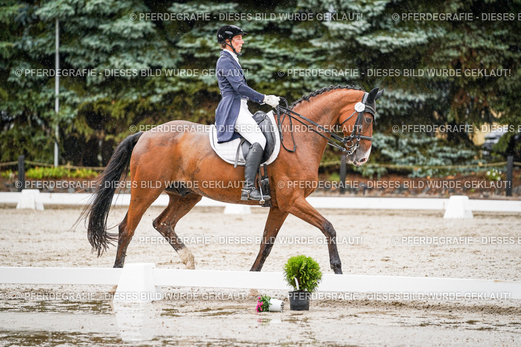 DSC08602 | Pferdegrafie