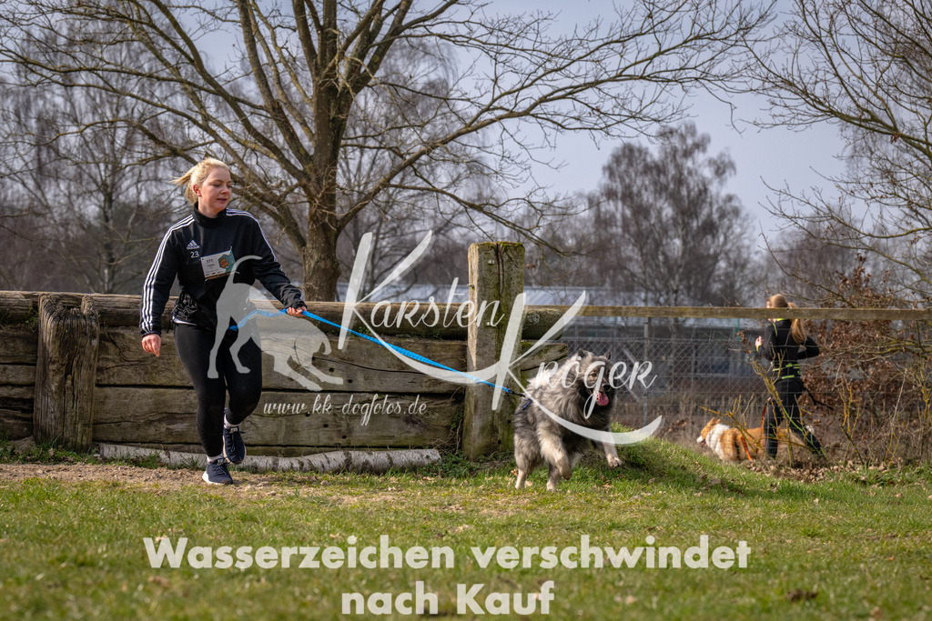 _ZZ91026 | kk-dogfotos