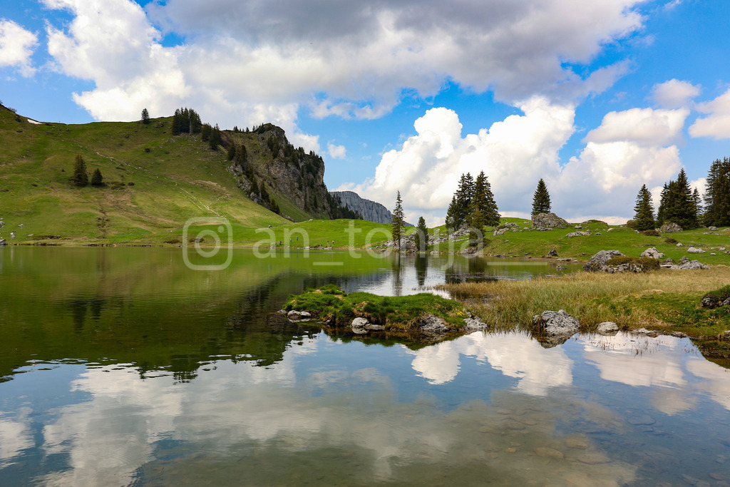 A.Trupina-78 | antonija-trupina - Realisiert mit Pictrs.com