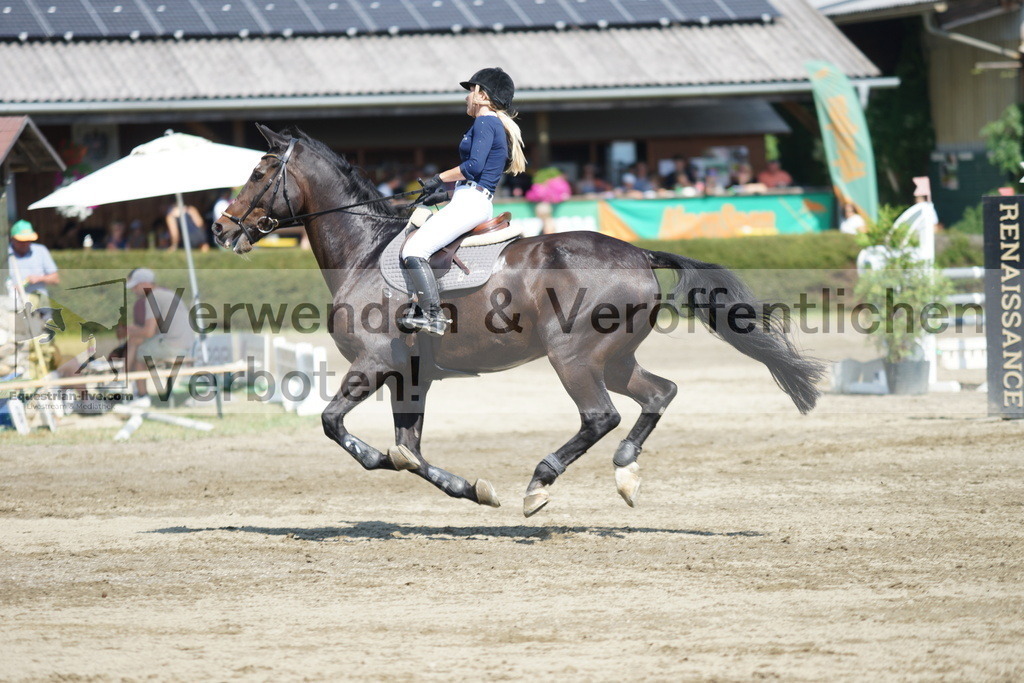 DSC01582 | equestrian-live-com