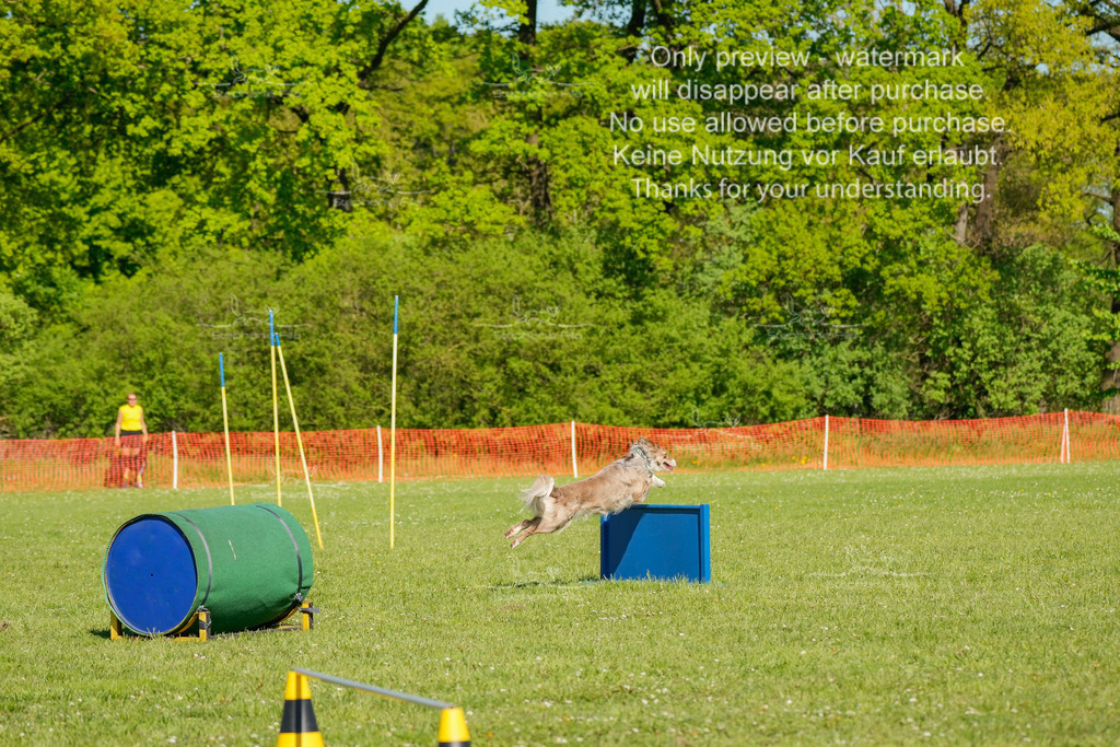 Sa_CSC-230 | stephaniefillaphotographie - Realisiert mit Pictrs.com