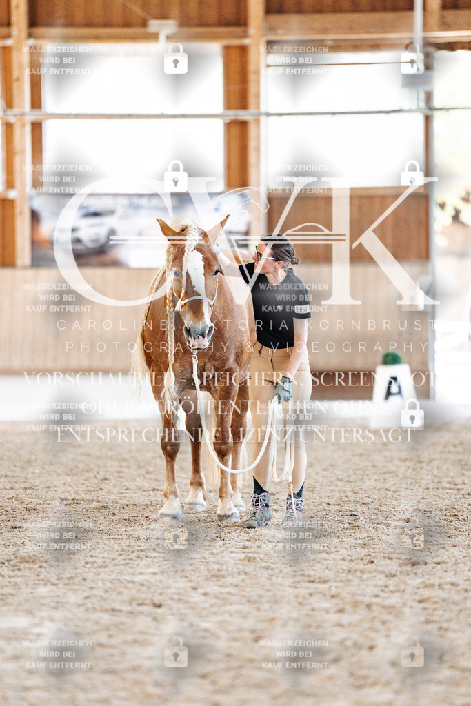 CK906758 | Turnierfotografie Pferdefotografie Trier Rheinland-Pfalz Pferdesport Reitsport Tierfotografie Sportfotografie Pferdevideo Pferdevideografie Equestrianvideography equestrianphotography  - Realisiert mit Pictrs.com