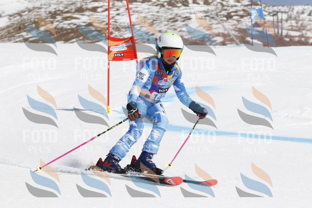 _U3G1153 | holidayphoto