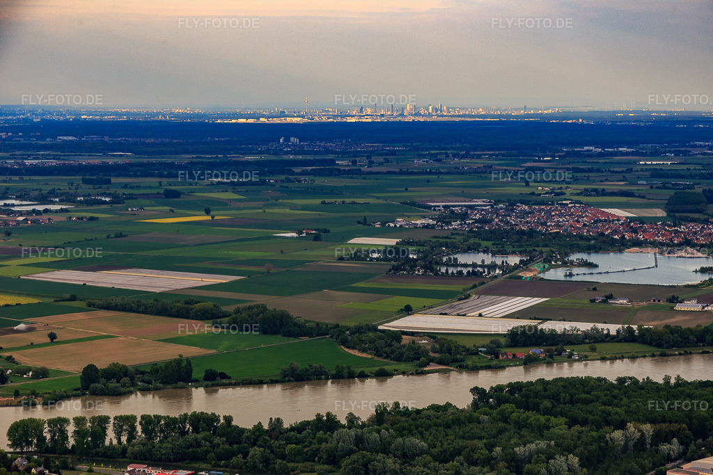 Luftbild: Skyline Frankfurt am Main vom Rhein bei Oppenheim aus im Ortsteil Niederrad in Frankfurt im Bundesland Hessen in Deutschland. Foto: IMG_088490.jpg vom 17.05.2016 durch Werner Riehm/FLY-FOTO.de