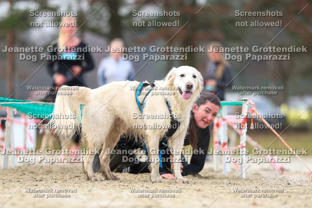 Dog Paparazzi - Strongdog North Mrz26-4153 | Dog Paparazzi Jeanette Grottendiek Fotografie & Videografie - Realisiert mit Pictrs.com