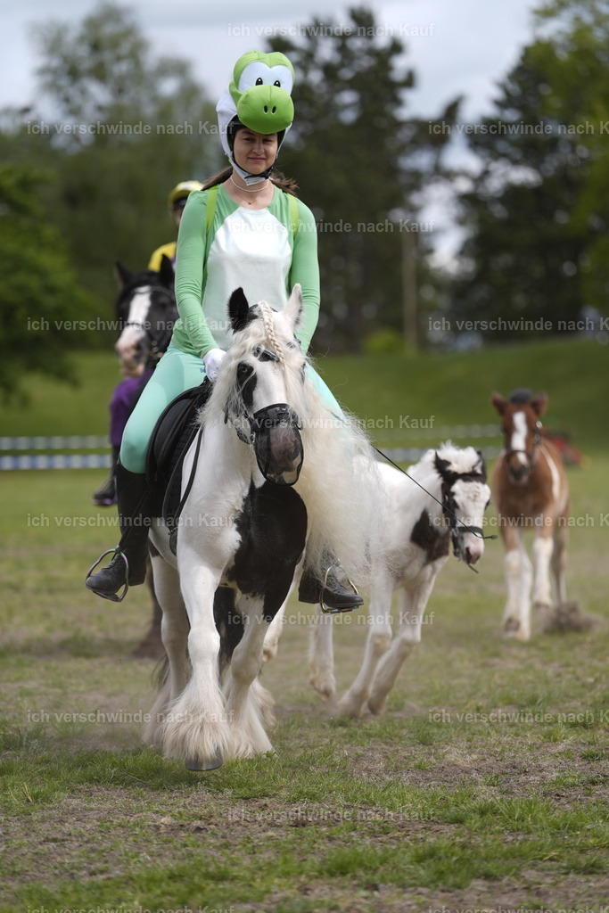 PI26_Show_BTS_StoibphotographyPI26_Show_BTS_Stoibph_DSC0894.JPG.JPG | working equitationturnier fotograf videograf stoibphotography marixx film working equitation deutschland reitsport turnierfotografie eventfotografie equestrian events