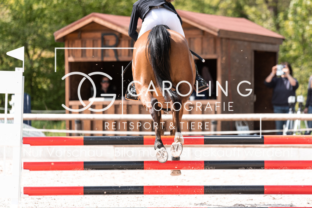 DSC_5226 | Turnierfotografin Carolin Gieschke, Turnierfotografie Carolin G Fotografie, Turnierfotos Kirchheim/Teck, Esslingen, Stuttgart, Bodenseekreis
