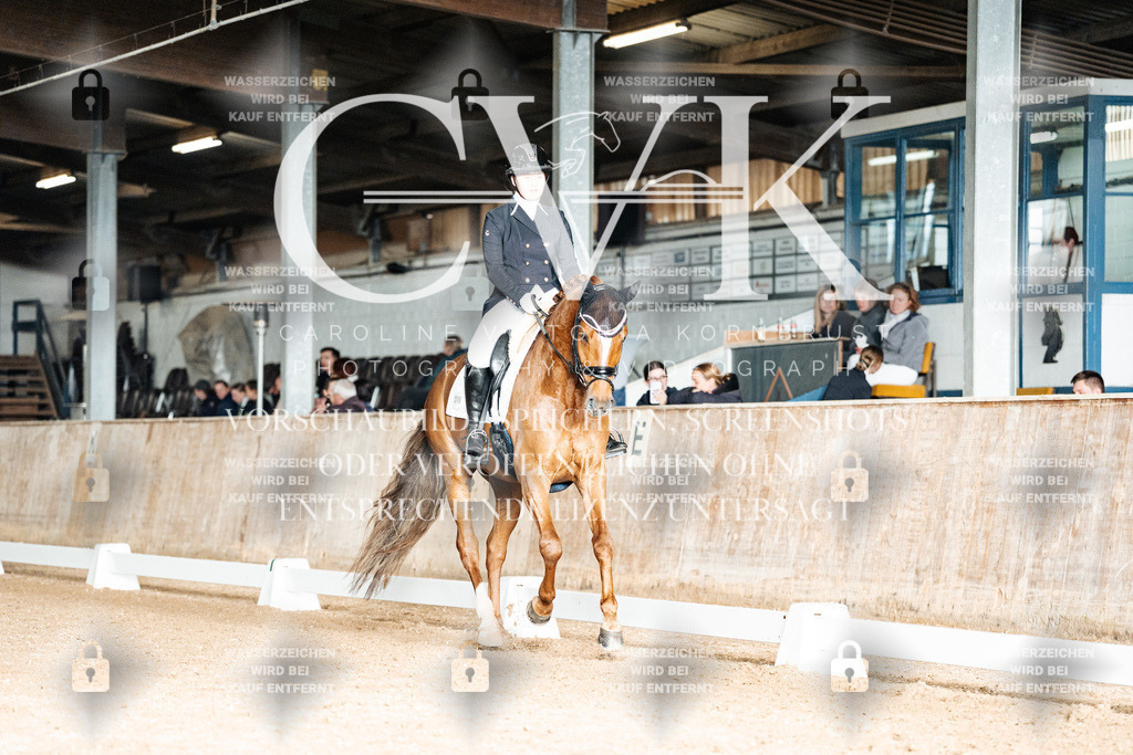 CK903155 | Turnierfotografie Pferdefotografie Trier Rheinland-Pfalz Pferdesport Reitsport Tierfotografie Sportfotografie Pferdevideo Pferdevideografie Equestrianvideography equestrianphotography  - Realisiert mit Pictrs.com