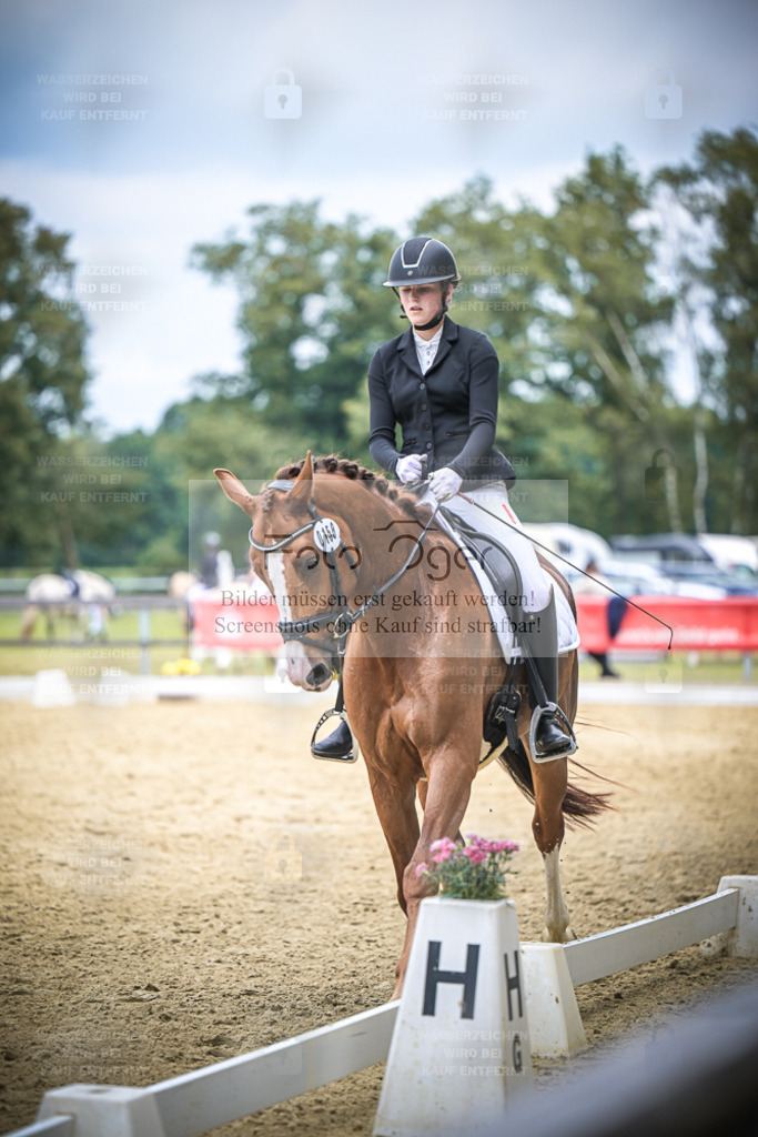 DOS_6035 | Entdecke hochwertige Reitturnierfotos von Foto Oger. Professionell, emotional und authentisch – jetzt Lieblingsmomente im Shop bestellen. - Realisiert mit Pictrs.com