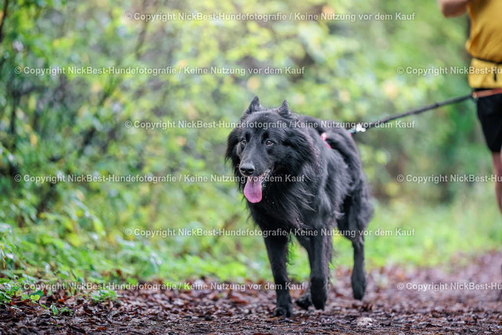 THS-HSV-Blumenthal-2026-Nickbest-Hundefotografie-0864 | Dein Hund! Dein Moment! Deine Erinnerungen! Hundefotografie in Bremen Blumenthal. Ich fange die besonderen Momente deines Vierbeiners ein – ob Indoor mit Blitzanlage oder in der freien Natur. Sicher dir dein Moment und dein Termin für eure Erinnerungen.