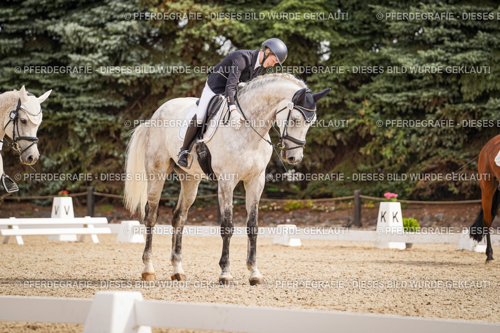 DSC01347 | Pferdegrafie