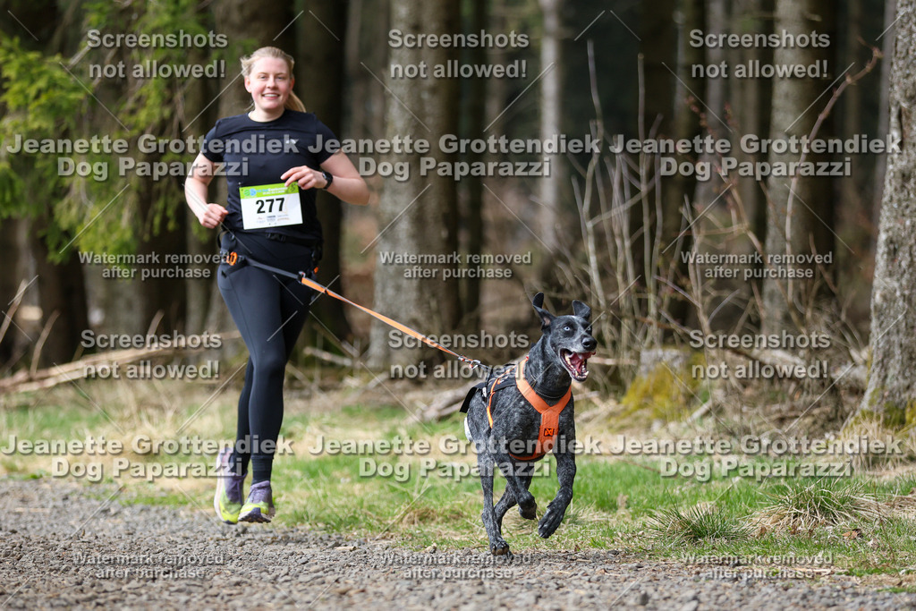 Dog Paparazzi - VCC26-416 | Dog Paparazzi Jeanette Grottendiek Fotografie & Videografie - Realisiert mit Pictrs.com