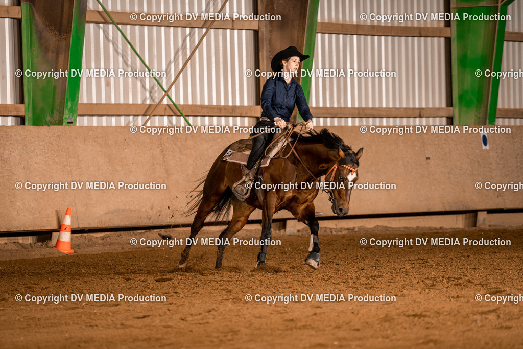 BA301460 | dv-media-shop - Realisiert mit Pictrs.com