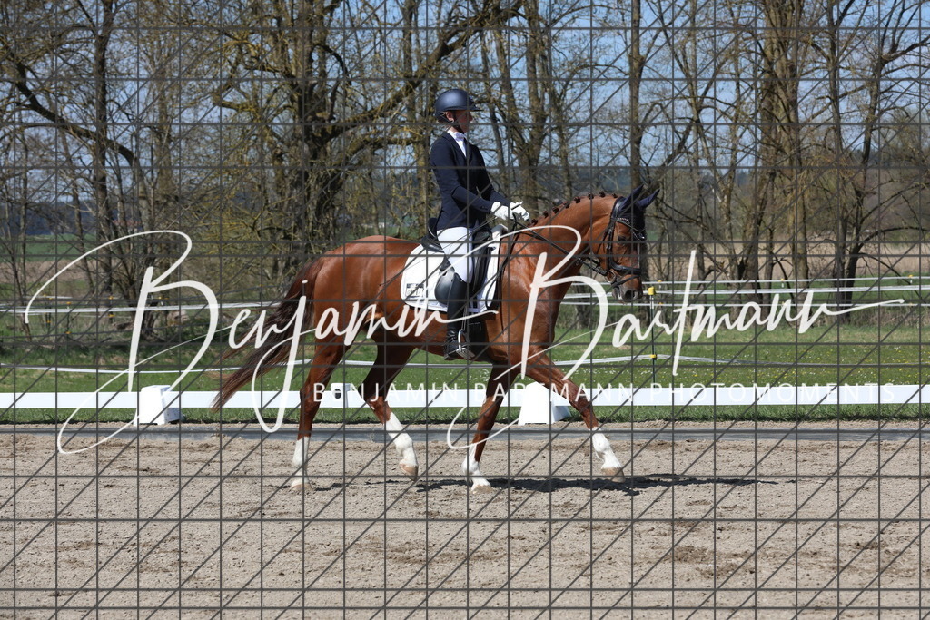 AZ2A5154 | Benjamin Bartmann Photomoments