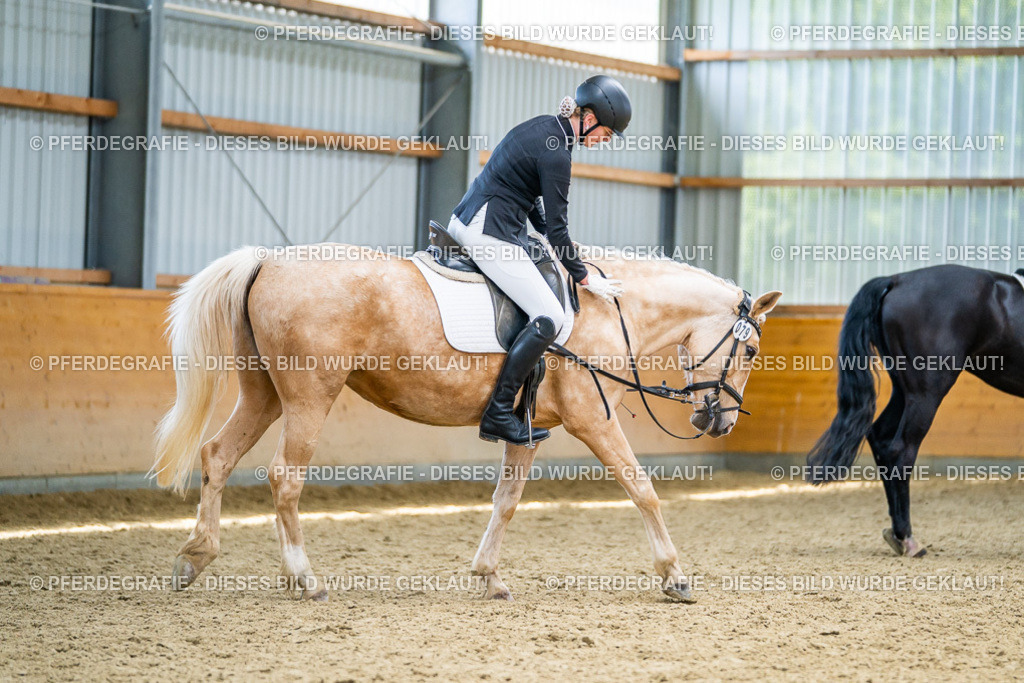 DSC04499 | Pferdegrafie