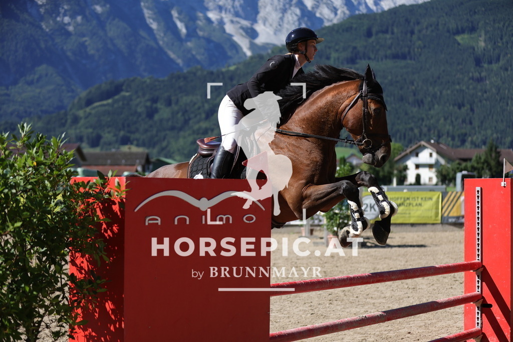 0P6A5311 | Willkommen bei Brunnmayr - Design & Fotografie – Ihrem Spezialisten für Reitturniere und Pferdeveranstaltungen in Oberösterreich, Salzburg und Bayern! Seit über 17 Jahren sind wir leidenschaftlich dabei.