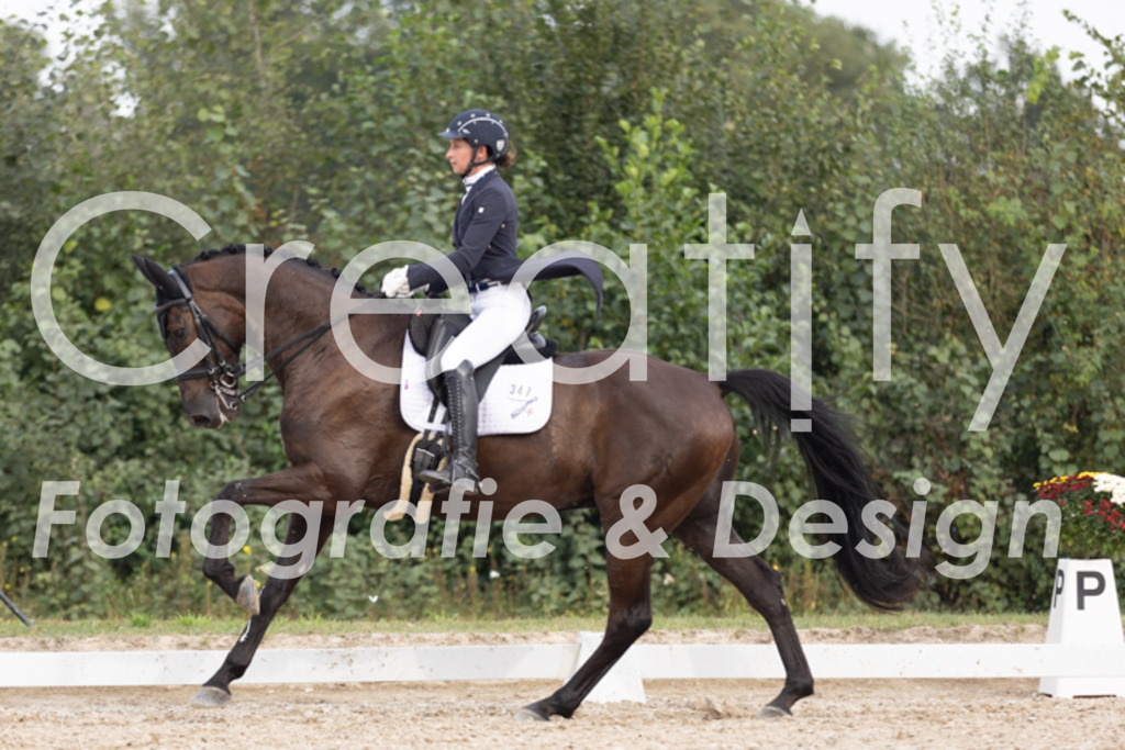 IMG_4954 | Creatify Fotografie