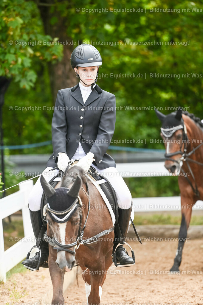 20230716_10-2_Reiter-WB Schritt - Trab - Galopp_0015 | equistock