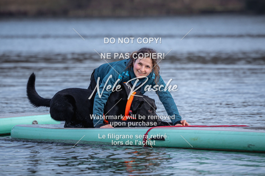 nelerasche_Hulsbeek_Sa1600-1700_637 | nelerasche