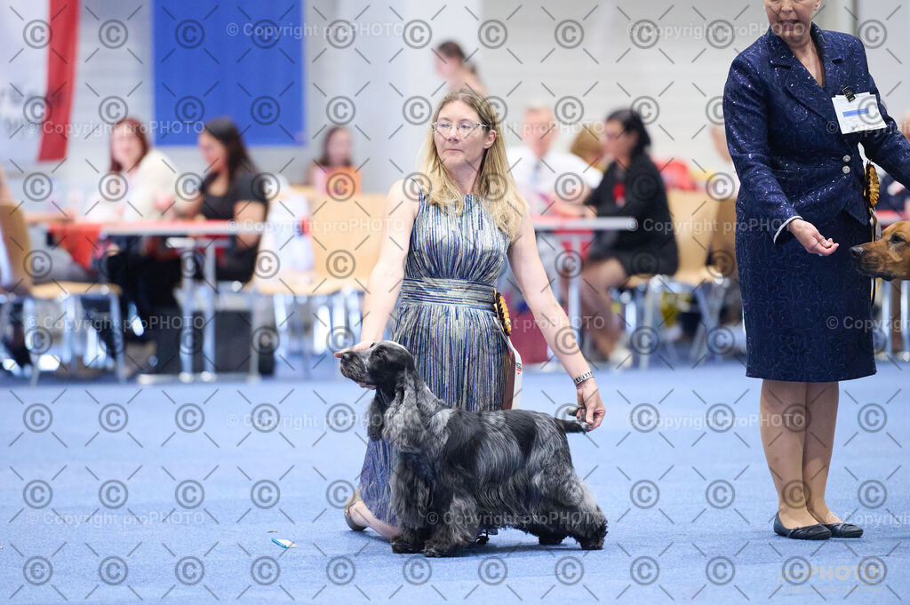 202406_ÖKV-IHA-Tulln24_DSC_2787 | proPHOTO - Realisiert mit Pictrs.com