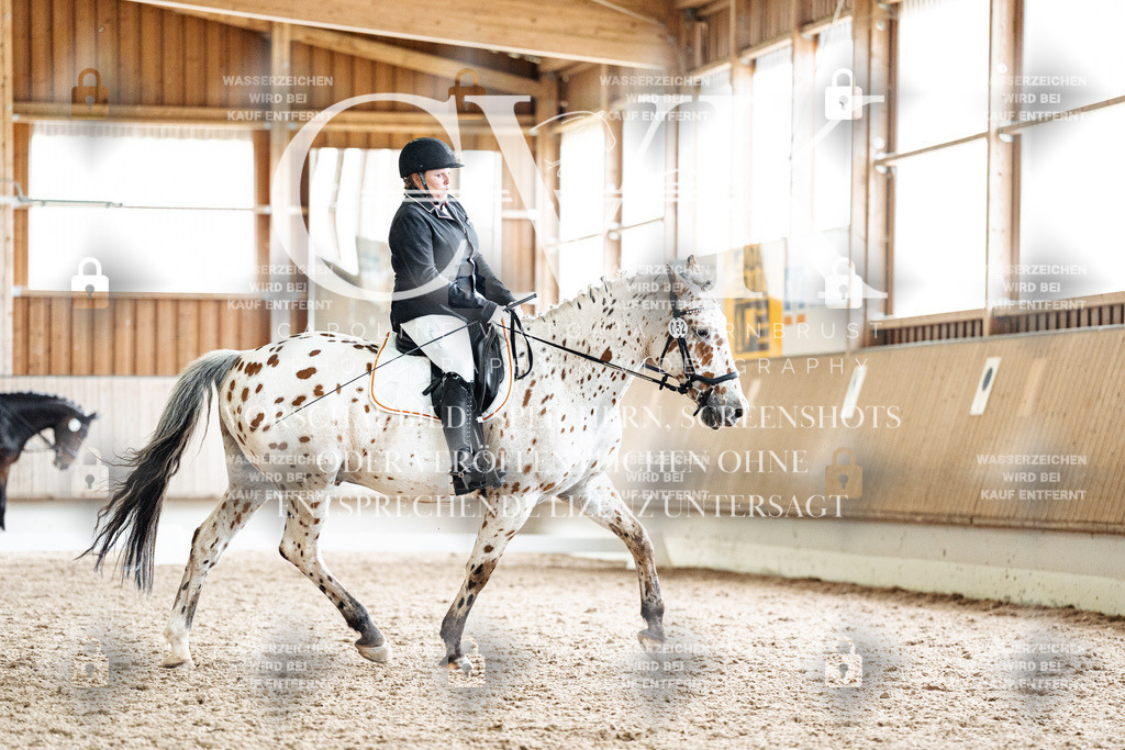 CK901217 | Turnierfotografie Pferdefotografie Trier Rheinland-Pfalz Pferdesport Reitsport Tierfotografie Sportfotografie Pferdevideo Pferdevideografie Equestrianvideography equestrianphotography  - Realisiert mit Pictrs.com