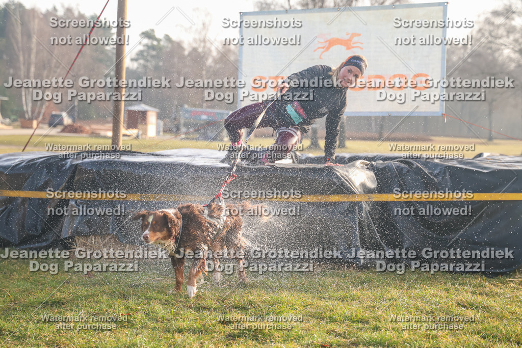 Dog Paparazzi - SD North Sa 830-900-171 | Dog Paparazzi Jeanette Grottendiek Fotografie & Videografie - Realisiert mit Pictrs.com